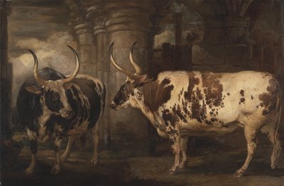 Portraits of Two Extraordinary Oxen, the Property of the Earl of Powis by James Ward